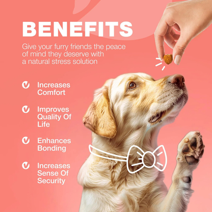 Skin & Immunity Flea Guard