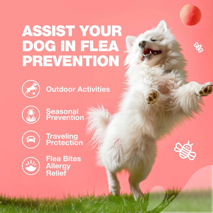 Skin & Immunity Flea Guard
